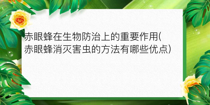 赤眼蜂在生物防治上的重要作用(赤眼蜂消灭害虫的方法有哪些优点)