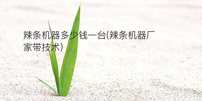 辣条机器多少钱一台(辣条机器厂家带技术)