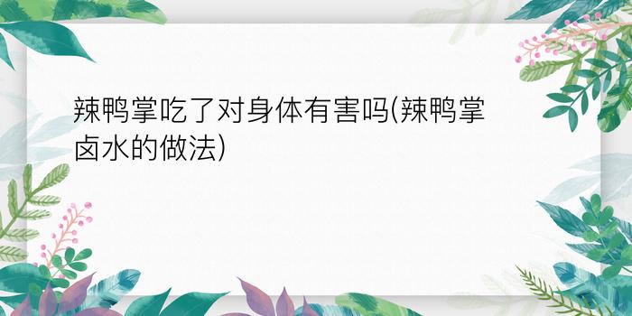 辣鸭掌吃了对身体有害吗(辣鸭掌卤水的做法)