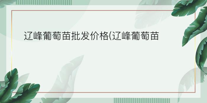 辽峰葡萄苗批发价格(辽峰葡萄苗)