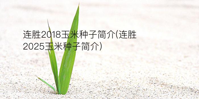 连胜2018玉米种子简介(连胜2025玉米种子简介)