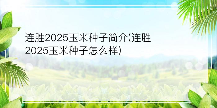 连胜2025玉米种子简介(连胜2025玉米种子怎么样?)