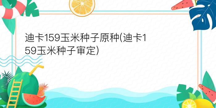 迪卡159玉米种子原种(迪卡159玉米种子审定)