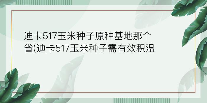 迪卡517玉米种子原种基地那个省(迪卡517玉米种子需有效积温)