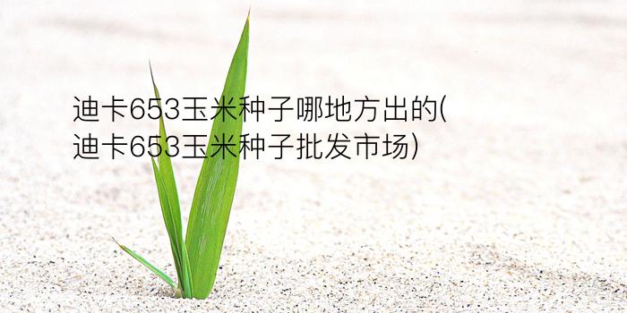 迪卡653玉米种子哪地方出的(迪卡653玉米种子批发市场)