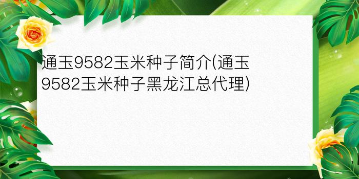 通玉9582玉米种子简介(通玉9582玉米种子黑龙江总代理)