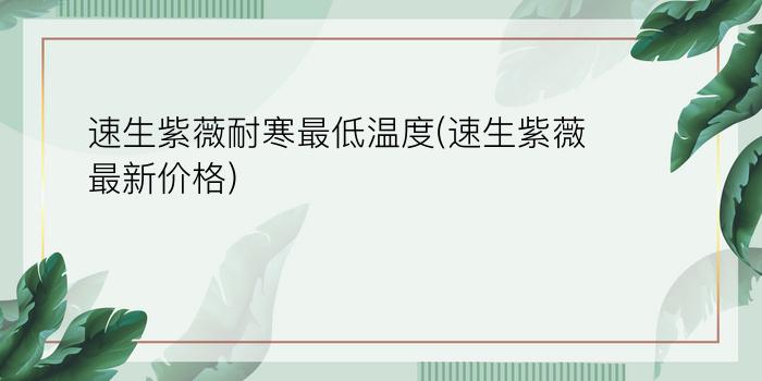 速生紫薇耐寒最低温度(速生紫薇最新价格)