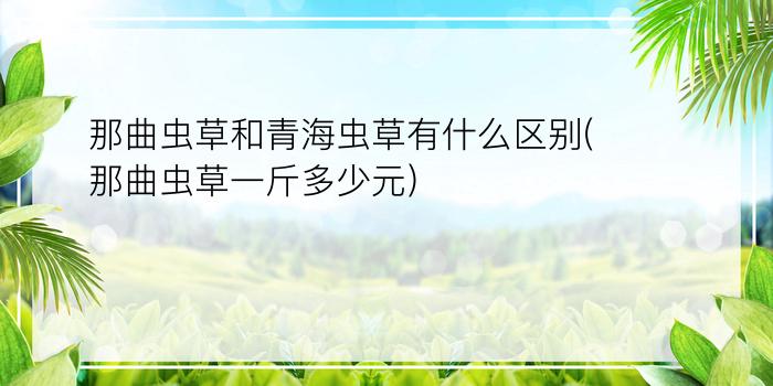 那曲虫草和青海虫草有什么区别(那曲虫草一斤多少元)