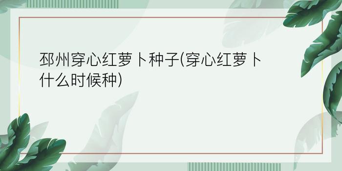 邳州穿心红萝卜种子(穿心红萝卜什么时候种)