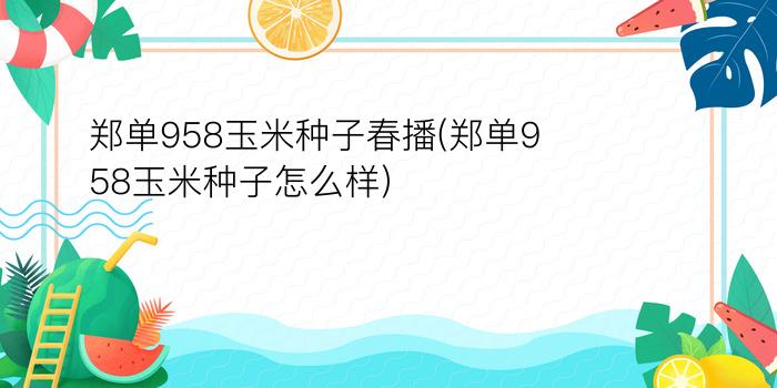 郑单958玉米种子春播(郑单958玉米种子怎么样)