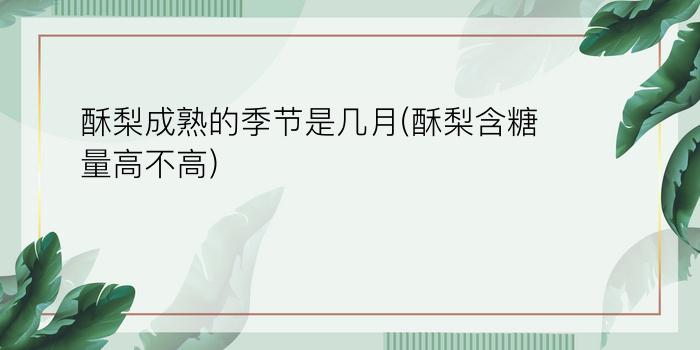 酥梨成熟的季节是几月(酥梨含糖量高不高)