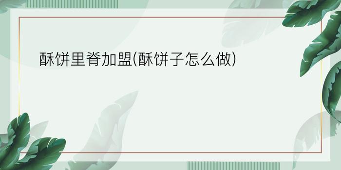 酥饼里脊加盟(酥饼子怎么做)