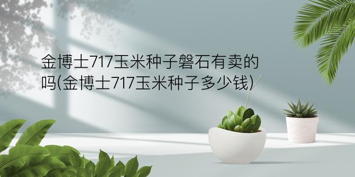 金博士717玉米种子磐石有卖的吗(金博士717玉米种子多少钱)