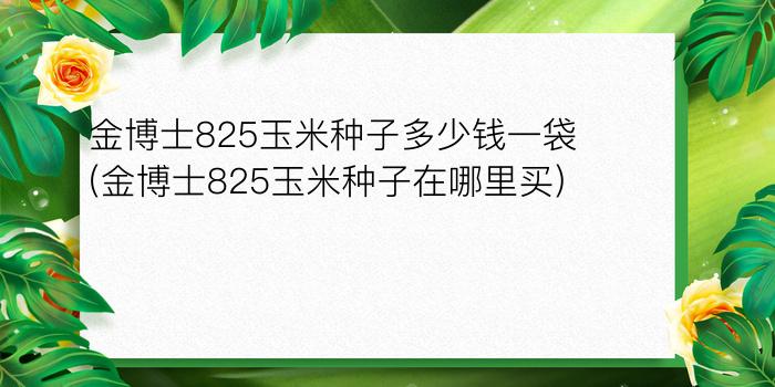 金博士825玉米种子多少钱一袋(金博士825玉米种子在哪里买)