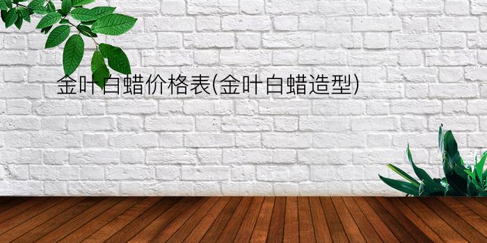 金叶白蜡价格表(金叶白蜡造型)