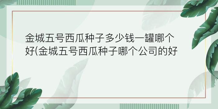 金城五号西瓜种子多少钱一罐哪个好(金城五号西瓜种子哪个公司的好)