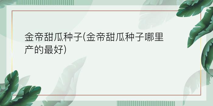 金帝甜瓜种子(金帝甜瓜种子哪里产的最好)