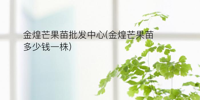 金煌芒果苗批发中心(金煌芒果苗多少钱一株)