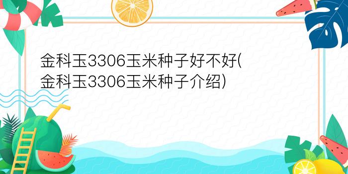 金科玉3306玉米种子好不好(金科玉3306玉米种子介绍)