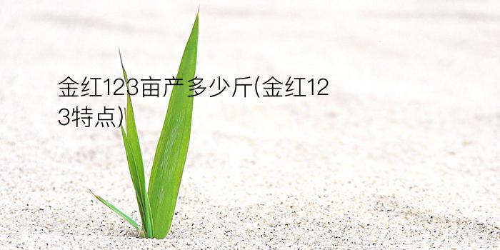 金红123亩产多少斤(金红123特点)