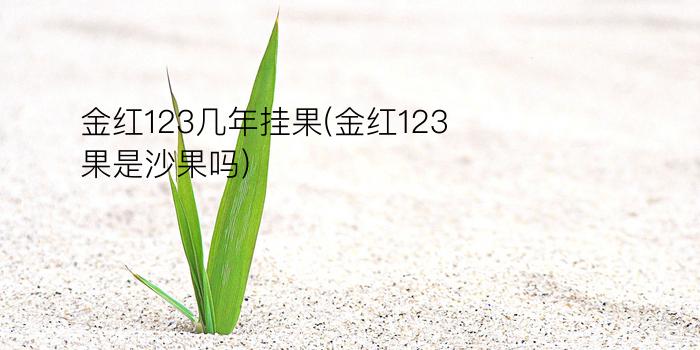 金红123几年挂果(金红123果是沙果吗)