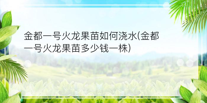 金都一号火龙果苗如何浇水(金都一号火龙果苗多少钱一株)