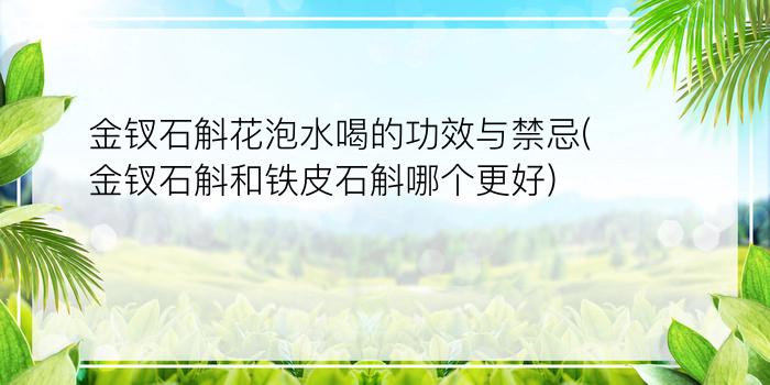 金钗石斛花泡水喝的功效与禁忌(金钗石斛和铁皮石斛哪个更好)