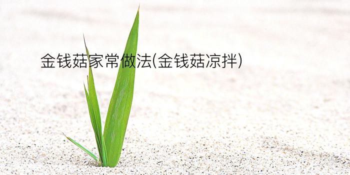 金钱菇家常做法(金钱菇凉拌)