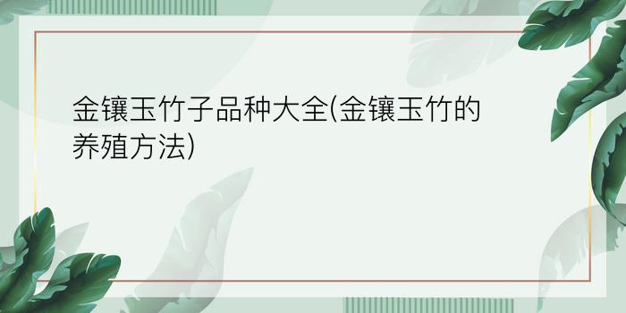 金镶玉竹子品种大全(金镶玉竹的养殖方法)