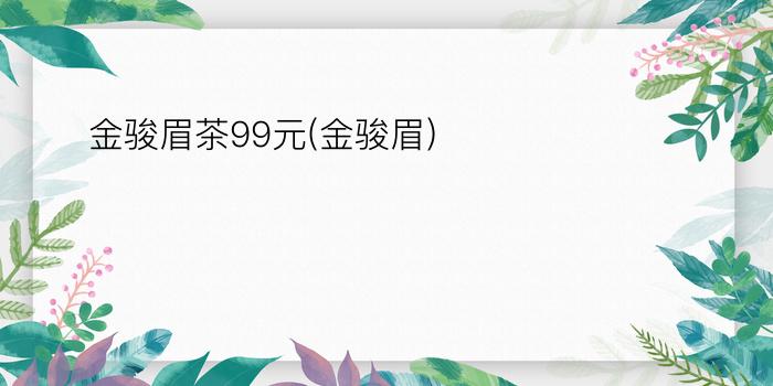 金骏眉茶99元(金骏眉)