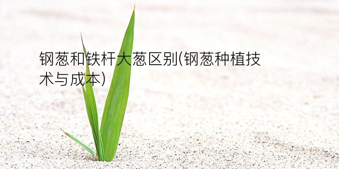 钢葱和铁杆大葱区别(钢葱种植技术与成本)