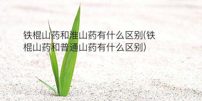 铁棍山药和淮山药有什么区别(铁棍山药和普通山药有什么区别)