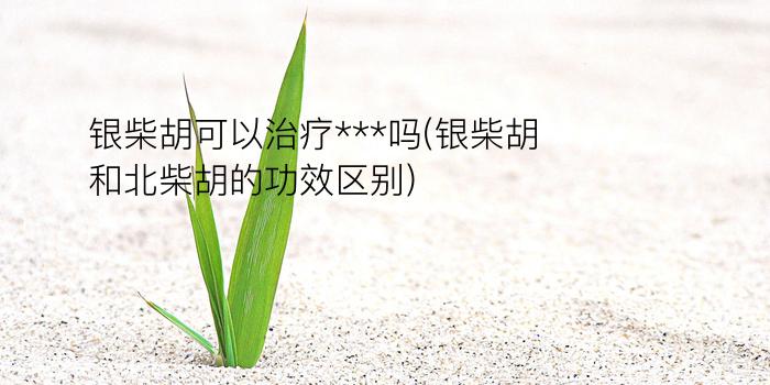 银柴胡可以治疗***吗(银柴胡和北柴胡的功效区别)