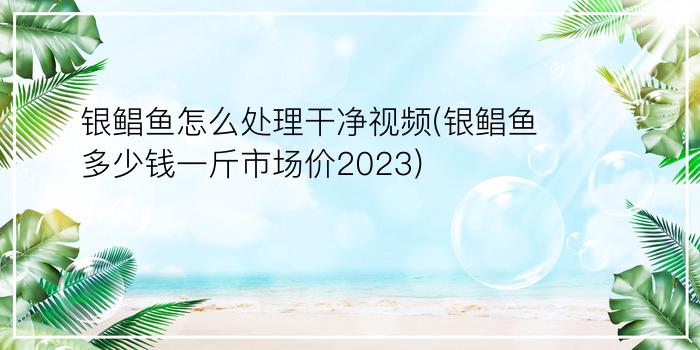 银鲳鱼怎么处理干净视频(银鲳鱼多少钱一斤市场价2023)