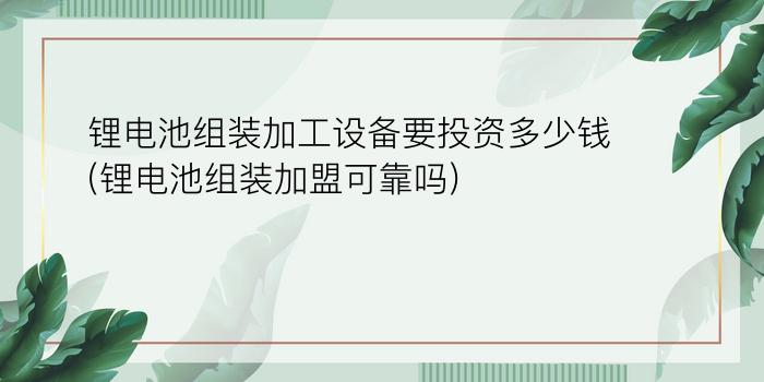 锂电池组装加工设备要投资多少钱(锂电池组装加盟可靠吗)