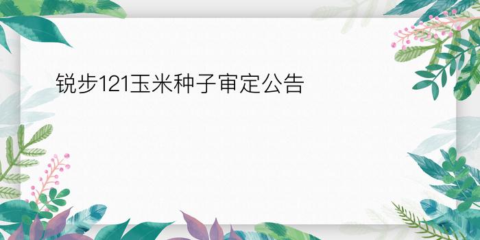 锐步121玉米种子审定公告