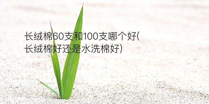 长绒棉60支和100支哪个好(长绒棉好还是水洗棉好)