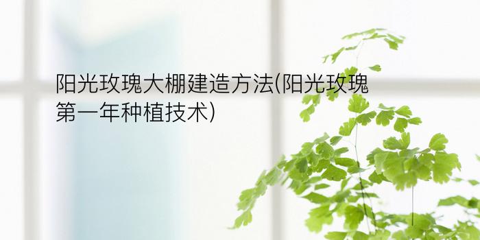 阳光玫瑰大棚建造方法(阳光玫瑰第一年种植技术)