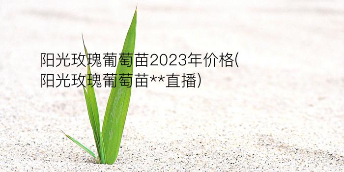 阳光玫瑰葡萄苗2023年价格(阳光玫瑰葡萄苗**直播)