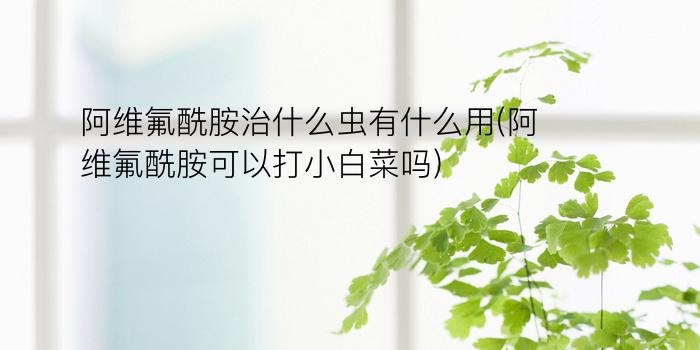 阿维氟酰胺治什么虫有什么用(阿维氟酰胺可以打小白菜吗)