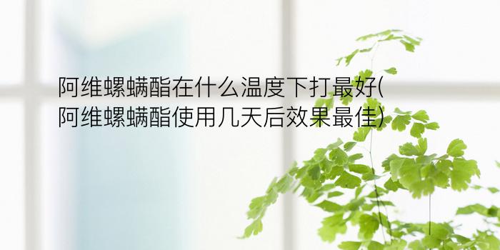 阿维螺螨酯在什么温度下打最好(阿维螺螨酯使用几天后效果最佳)