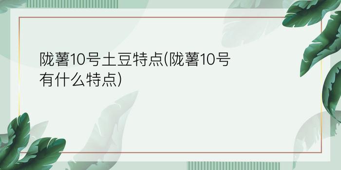 陇薯10号土豆特点(陇薯10号有什么特点)