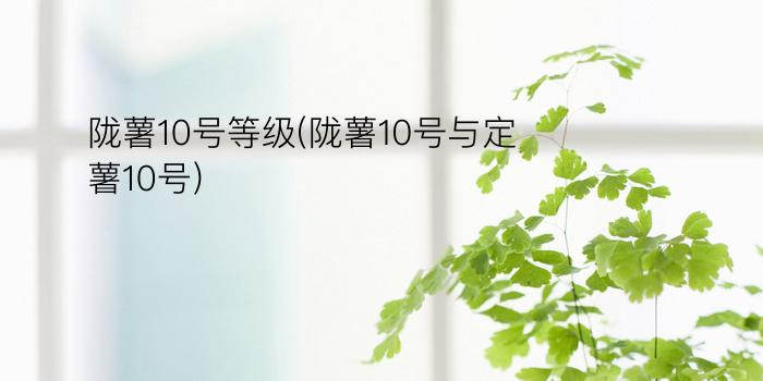 陇薯10号等级(陇薯10号与定薯10号)