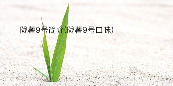 陇薯9号简介(陇薯9号口味)