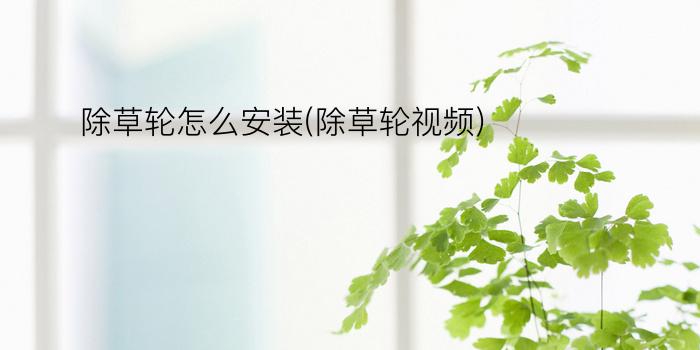 除草轮怎么安装(除草轮视频)