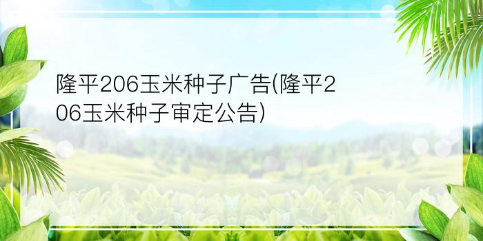 隆平206玉米种子广告(隆平206玉米种子审定公告)