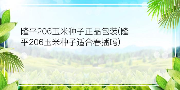 隆平206玉米种子正品包装(隆平206玉米种子适合春播吗)