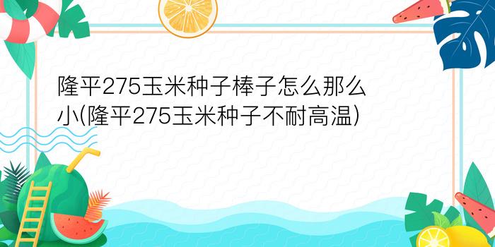 隆平275玉米种子棒子怎么那么小(隆平275玉米种子不耐高温)