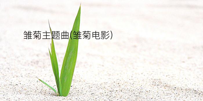 雏菊主题曲(雏菊电影)