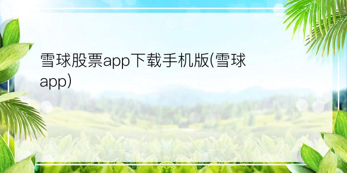 雪球股票app下载手机版(雪球app)